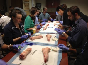 Our Internal Medicine residents practicing basic suturing techniques on pig's feet at our annual start-of-intern-year suturing workshop.