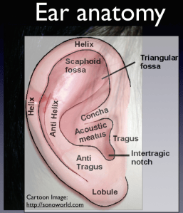 Ear Lacerations, Part I – Closing the Gap