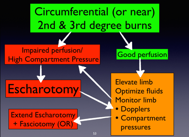 Escharotomy Algorithm